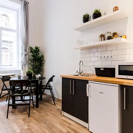 Spacious 3 In Downtown Apartment *
