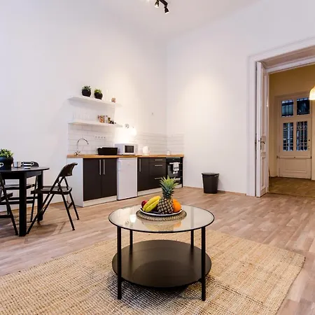 Spacious 3 In Downtown Budapest