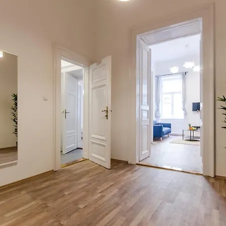 Spacious 3 In Downtown Apartment *