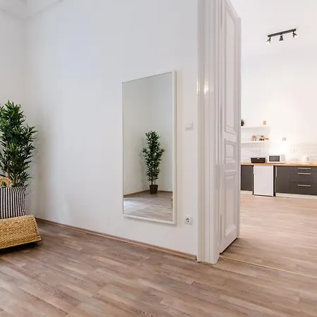 Spacious 3 In Downtown Apartment Budapest